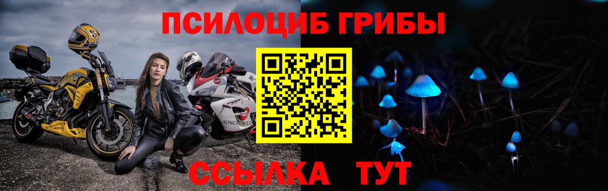 Псилоцибиновые грибы Psilocybine cubensis  Вход с VPN  Моздок 