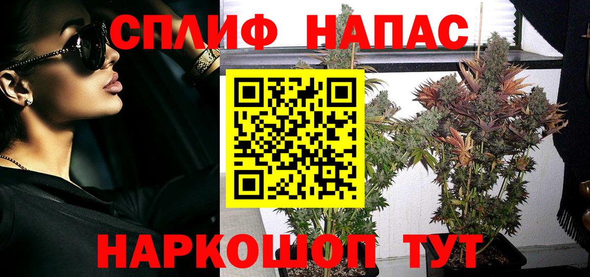 Марихуана марихуана Моздок